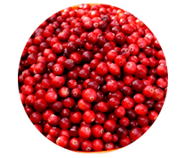 Lingonbärfrukter finns i Prostamin-kapslar, de lindrar svullnad